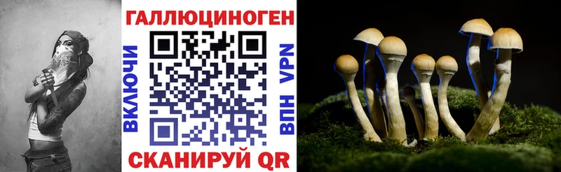 наркотики  Сортавала  Галлюциногенные грибы прущие грибы 